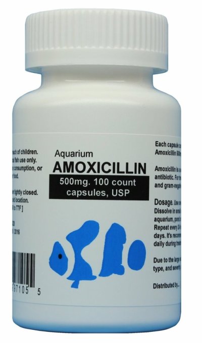 amoxicillin-500-100__19166.1625439965.jpg