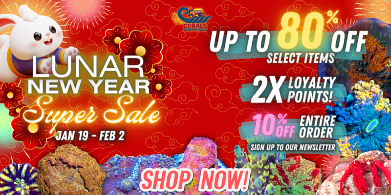 2023 Chinese New Year Super Sale.png