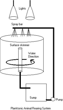 Hemdal_BasicPropagation2.png