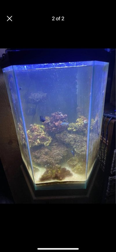 Tank pic from seller.jpg