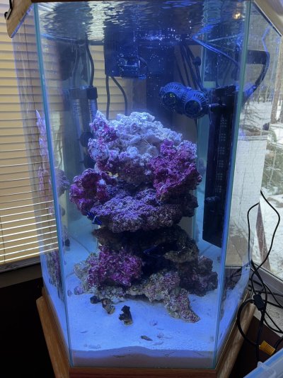 Tank after setup.jpg