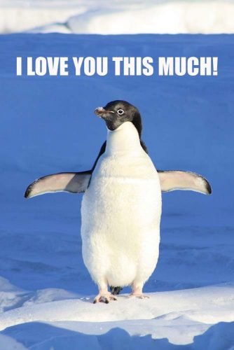 penguin love.jpg