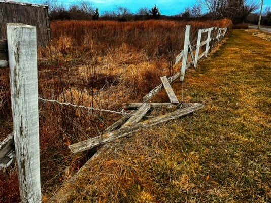 Broken fence.JPG