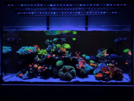 Or3 reef aquarium led bar .JPG