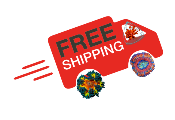 Coralmobile free shipping.png