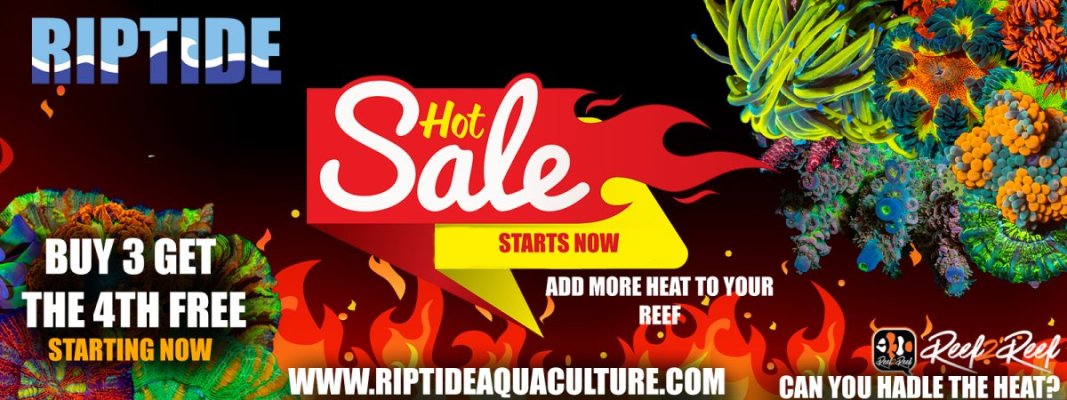 Fire Sale 1600x600 5.0.jpg