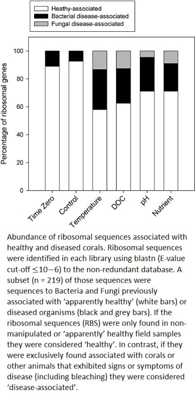 Thurber Metagenomic fig 6.jpg