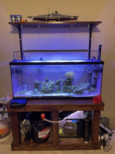 55 Gallon Reef 5-5-23.jpg