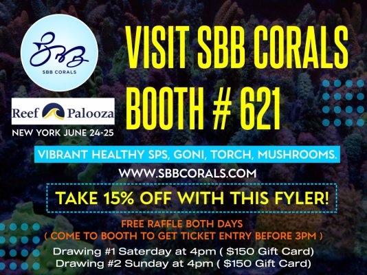 Visit SBB Corals Booth.jpg