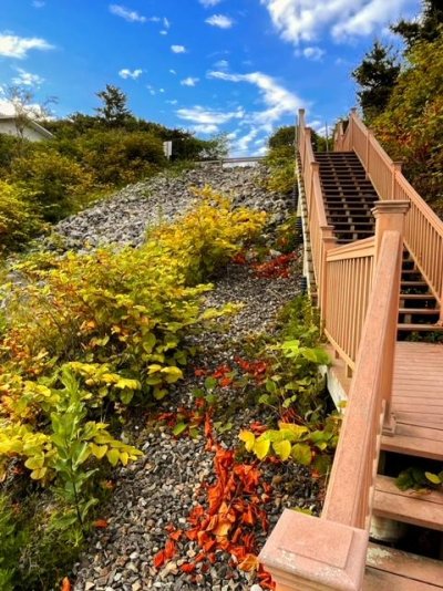 Beach Stairs.jpg