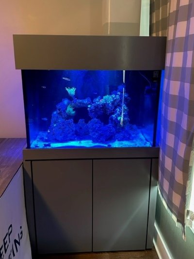 90 gallon.jpg