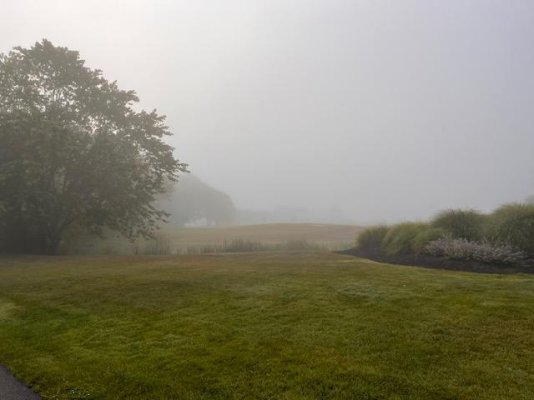 Golf course fog.jpg