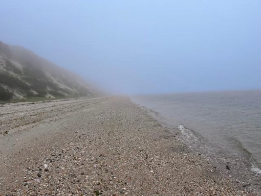 Foggy beach.jpg