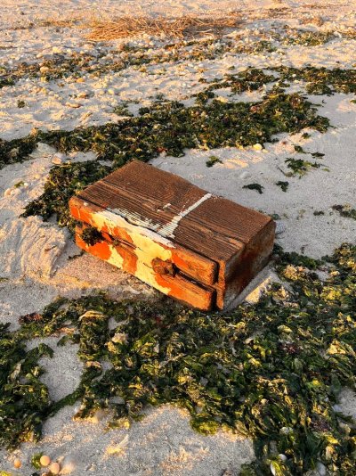 Block of wood on beach.jpeg