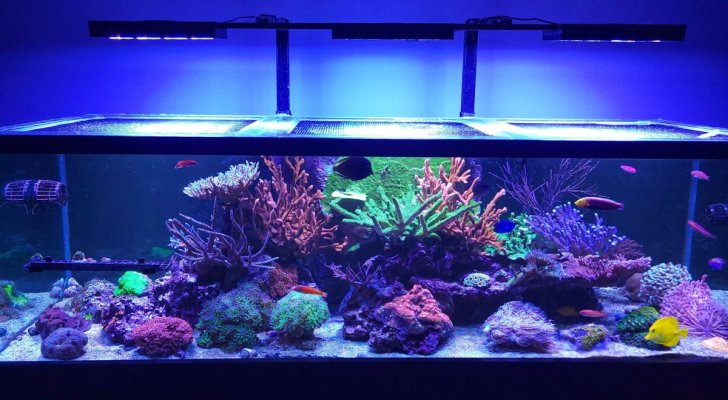 FTS (1 of 1).jpg