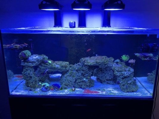 FTS (2).jpg