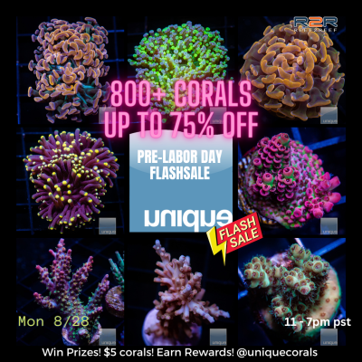 Aug28-Monday- Flashsale.png