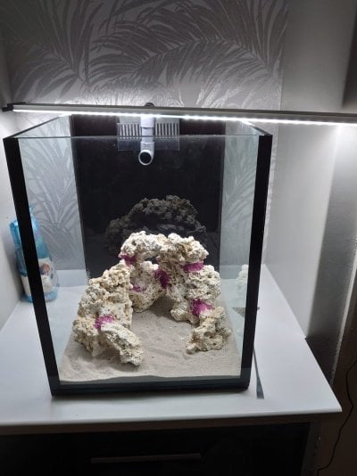 reef tank 7.jpg