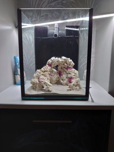 reef tank 5.jpg