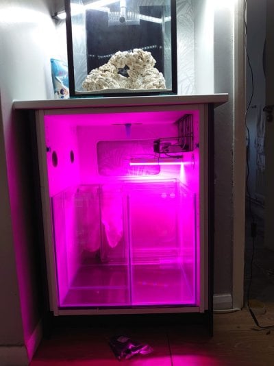 reef tank 6.jpg