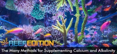 The Many Methods for Supplementing Calcium and Alkalinity