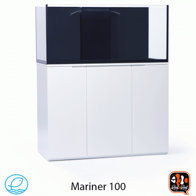 animated m100 copy.gif