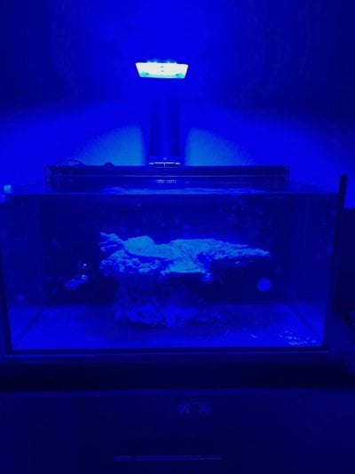 Reef2Reef Nano Tank Build Thread 1.jpg