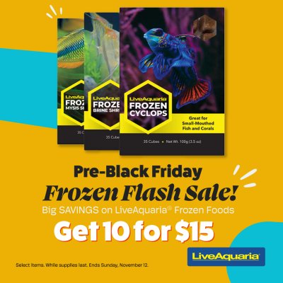 110923-Frozen-Flash-Sale1080X1080.jpg