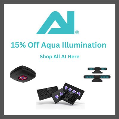 aquaillumination.jpg