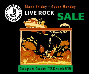 Black Friday Sale R2R.png