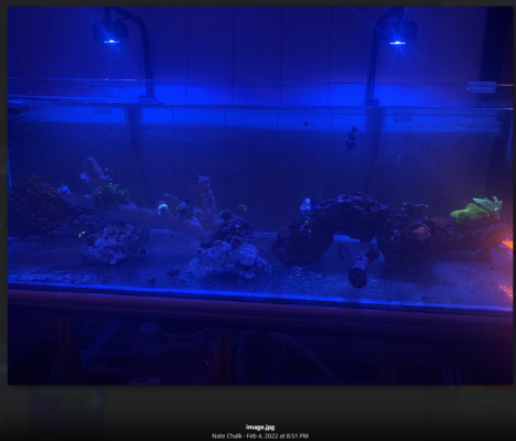 2023-11-21 23_55_08-72x30x18 DIY build thread _ Page 7 _ REEF2REEF Saltwater and Reef Aquarium...png