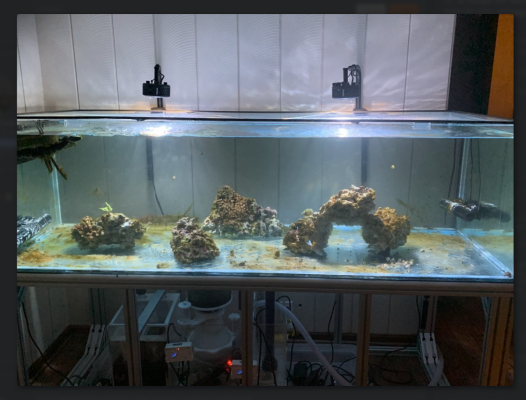 2023-11-21 23_52_59-72x30x18 DIY build thread _ Page 5 _ REEF2REEF Saltwater and Reef Aquarium...png