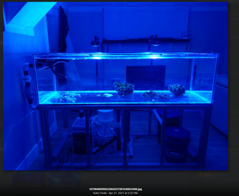 2023-11-21 23_51_50-72x30x18 DIY build thread _ Page 4 _ REEF2REEF Saltwater and Reef Aquarium...png