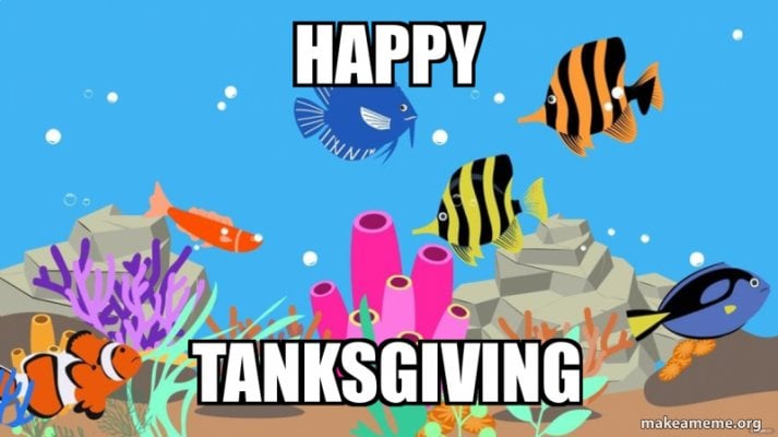 happy-tanksgiving-00cfcf2379.jpg