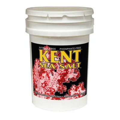 10_KENT_Sea_Salt_Bucket.jpg