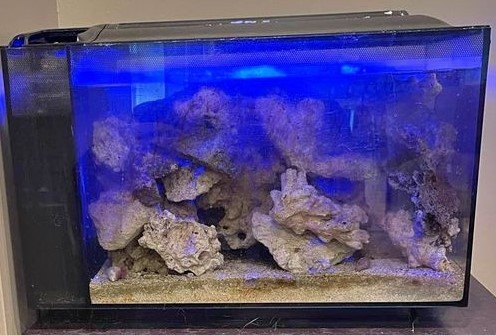 Fluval 13.5 evo xii saltwater tank. (Before Rescue).jpg