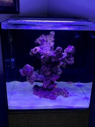 40gallon.jpg