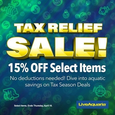 041424_SOCIAL_Tax-Season-Promo-1080X1080.jpg