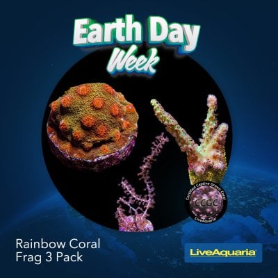 042124_SOCIAL_Earth Day Week ITEMS SLIDS3.jpg