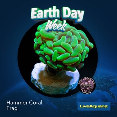 042124_SOCIAL_Earth Day Week ITEMS SLIDS2.jpg