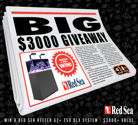 REDSEA BIG GIVEAWAY.Final.png