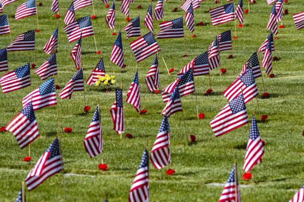 Flags On Memorial Day.jpg