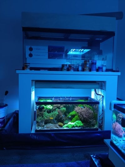 75-gallon.jpg