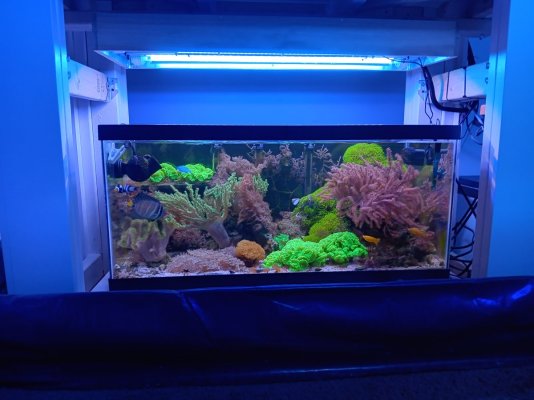 40-gal.jpg