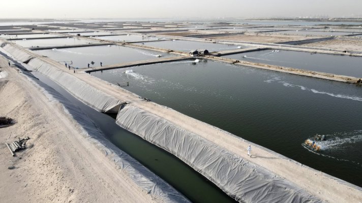 UAE_Shrimp_Farm.jpg