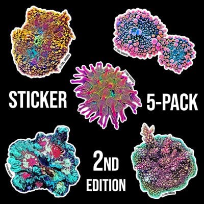 sticker-5pack.jpg