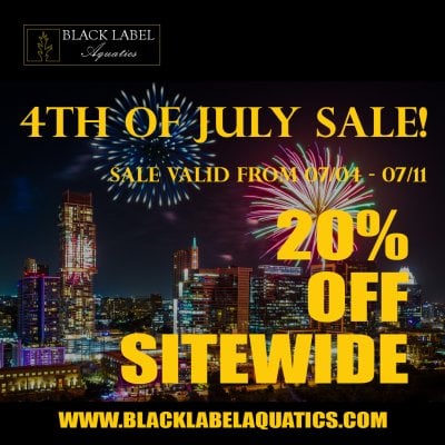 bla4thjulysale240704 copy.jpg