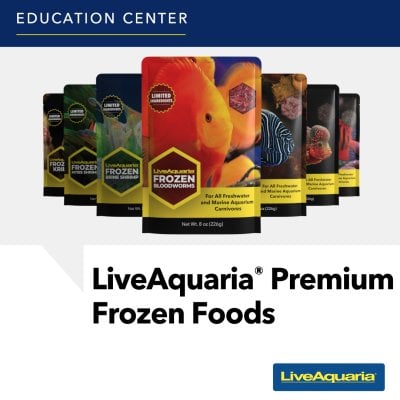 070824_SOCIAL_Frozen Food Educational ITEMS SLIDS4.jpg