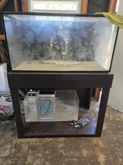 120gal tank (2).jpg