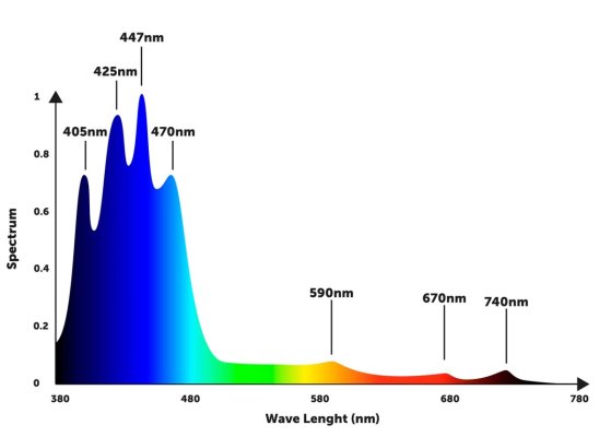 spectrum.jpg